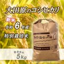 令和6年産 精米　特別栽培米コシヒカリ「五月女農場のお米」(5kg)