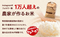 令和7年産 精米 特別栽培米 コシヒカリ「五月女農場のお米」(5kg)  ｜ 農家直送 産地直送 産直 栃木県 大田原市 こしひかり