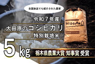 栃木県大田原産コシヒカリ&nbsp;白米&nbsp;5kg｜&nbsp;特別栽培米&nbsp;メディア出演多数&nbsp;栃木県農業大賞&nbsp;知事賞&nbsp;受賞農家&nbsp;五月女農場&nbsp;農家直送&nbsp;産地直送&nbsp;産直&nbsp;栃木県&nbsp;大田原市&nbsp;こしひかり