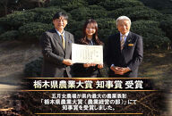 栃木県大田原産コシヒカリ&nbsp;白米&nbsp;5kg｜&nbsp;特別栽培米&nbsp;メディア出演多数&nbsp;栃木県農業大賞&nbsp;知事賞&nbsp;受賞農家&nbsp;五月女農場&nbsp;農家直送&nbsp;産地直送&nbsp;産直&nbsp;栃木県&nbsp;大田原市&nbsp;こしひかり