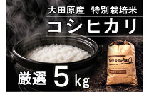 栃木県大田原産コシヒカリ&nbsp;白米&nbsp;5kg｜&nbsp;特別栽培米&nbsp;メディア出演多数&nbsp;栃木県農業大賞&nbsp;知事賞&nbsp;受賞農家&nbsp;五月女農場&nbsp;農家直送&nbsp;産地直送&nbsp;産直&nbsp;栃木県&nbsp;大田原市&nbsp;こしひかり