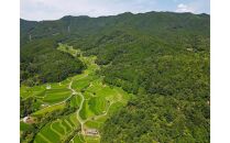 冬こそ皮ごと丸かじり！栽培期間中農薬・化学肥料不使用棚田レンコン!　約2kg