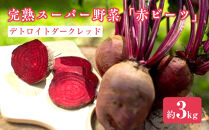 完熟スーパー野菜「赤ビーツ」(デトロイトダークレッド)3kg