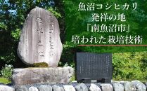 南魚沼産こしひかり 窒素充填2合パック×10袋入（合計3kg） 東京国立博物館コラボレーションパッケージ