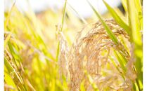 【復興支援】奥能登産「能登ひかり」米糀あまざけ500ml×3本