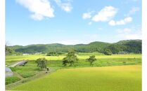 【復興支援】奥能登産「能登ひかり」米糀あまざけ500ml×3本