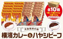 洋食発祥の地　横濱カレー＆ハヤシビーフセット各10箱（1箱に大盛250g・小盛150g）