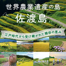 佐渡島産コシヒカリ&nbsp;北片辺棚田米&nbsp;白米4Kg（2Kg×2袋）【令和7年産】　