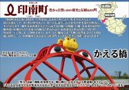 【訳あり】ご家庭用&nbsp;紀州南高梅&nbsp;はちみつ漬つぶれ梅&nbsp;1.2kg&nbsp;（600g×2パック）&nbsp;&nbsp;わけあり&nbsp;紀州南高梅&nbsp;南高梅&nbsp;梅干し&nbsp;梅干&nbsp;梅&nbsp;&nbsp;ご飯のお供