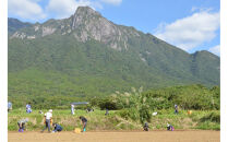 【2026年3月上旬頃から発送】屋久島産黒豚の豚味噌と屋久島産じゃがいもセット5kg＜農薬不使用＞