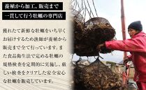 【復興支援】能登かき 殻付き半缶（約35〜40粒）