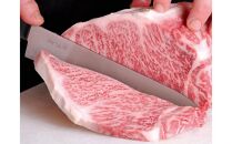 お肉の専門店「スギモト」みかわ牛　ステーキ用(サーロイン肉)4枚