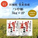 【新米】令和6年宮城県登米市産「つや姫」5kg×2袋 合計10kgセット