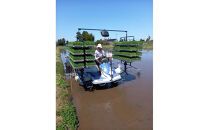 【令和7年産】みどりふぁーむのコシヒカリ&nbsp;10kg