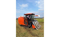 【令和7年産】みどりふぁーむの富富富（ふふふ）玄米&nbsp;30kg&nbsp;|&nbsp;新米&nbsp;お米&nbsp;米&nbsp;こめ&nbsp;白米&nbsp;食品&nbsp;南砺市&nbsp;天然&nbsp;栽培&nbsp;産地直送&nbsp;自然栽培&nbsp;食卓&nbsp;ご飯&nbsp;日本米&nbsp;ブランド米&nbsp;高級米&nbsp;贈答用&nbsp;有機栽培&nbsp;米食べ比べ&nbsp;伝統米&nbsp;もちもち&nbsp;食感&nbsp;人気&nbsp;おすすめ&nbsp;送料無料