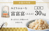 【令和7年産】みどりふぁーむの富富富（ふふふ）玄米&nbsp;30kg&nbsp;|&nbsp;米&nbsp;お米&nbsp;こめ&nbsp;玄米&nbsp;食品&nbsp;南砺市&nbsp;天然&nbsp;栽培&nbsp;産地直送&nbsp;精米&nbsp;食卓&nbsp;ご飯&nbsp;日本米&nbsp;料理用&nbsp;ブランド米&nbsp;高級米&nbsp;贈答用&nbsp;米食べ比べ&nbsp;伝統米&nbsp;もちもち&nbsp;食感&nbsp;人気&nbsp;おすすめ&nbsp;送料無料