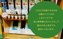 マグカップ　アザラシ2022 【 旭山動物園 公式 グッズ カップ 日用品 北海道 旭川 】_04589