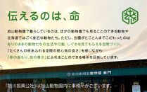 マグカップ　アザラシ2022 【 旭山動物園 公式 グッズ カップ 日用品 北海道 旭川 】_04589