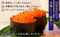 いくら醤油漬け　500g　パック イクラ しょうゆ漬け サケ さけ しゃけ シャケ 海鮮丼 魚介 魚卵 北海道 生産者 支援 応援	
