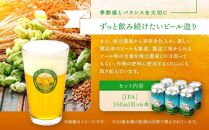 ＜お歳暮＞TDM 1874 Brewery クラフトビール　IPA（350ml×6本）【お酒・地ビール・酒】  数々の審査会で金賞受賞！