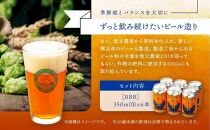 ＜お歳暮＞TDM 1874 Brewery クラフトビール　BBB（British Best Bitter）（350ml×6本）【お酒・地ビール・酒】