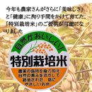 令和6年度産 新潟県南魚沼産コシヒカリ 特別栽培米 白米 2kg