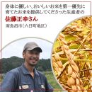 令和6年度産 新潟県南魚沼産コシヒカリ 特別栽培米 白米 2kg