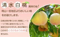 岡山市産 白桃 ご家庭用 約1.5kg 5~6玉 先行予約＜2025年7月上旬～8月下旬頃出荷＞