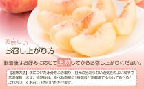 岡山市産 白桃 ご家庭用 約1.5kg 5~6玉 先行予約＜2025年7月上旬～8月下旬頃出荷＞