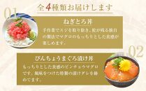 【定期便 全2回】まぐろ・かつお丼ぶりセット　4種10食分×2回　計20個