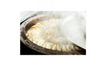 餃子・焼餃子・VEGISOY YAKIGYOZA 50個【冷凍品】