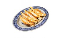 餃子・焼餃子・VEGISOY YAKIGYOZA 50個【冷凍品】