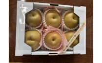 『令和8年産先行受付』　山形県産和梨　6玉※品種おまかせ　秀品　