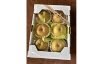 『令和8年産先行受付』　山形県産和梨　6玉※品種おまかせ　秀品　