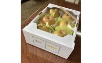 『令和8年産先行受付』　山形県産和梨　6玉※品種おまかせ　秀品　