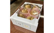 『令和8年産先行受付』　山形県産和梨　6玉※品種おまかせ　秀品　