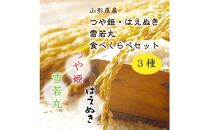 2025年9月発送開始　中山町の至高！中山町「和をまるごと」定期便　全3回(和梨・米・子姫芋）