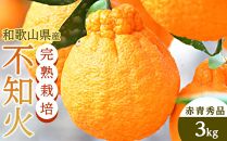 不知火（完熟栽培）樹上約300日 8玉～12玉 約3kg 赤青秀品【和歌山 海南市 農園直送】