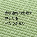 【グリーン】サンコー ズレない さらっと ベンザシート おくだけ吸着 便座カバー 洗える KN-57