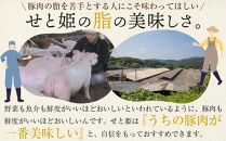 【年内発送】瀬戸内育ち “極上”の豚肉「瀬戸のもち豚せと姫」バラエティセット約1,200g (肩ロース・バラ・小間切れ・豚トロ 各300g)