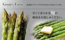 【2025年発送／先行予約】由布市産 グリーンアスパラガス 1.5kg以上 2Lサイズ以上