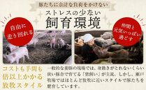 【年内発送】瀬戸内育ち “極上”の豚肉「瀬戸のもち豚せと姫」ステーキセット約900g (150g×6枚)