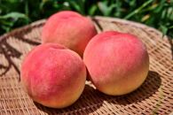 【2026年8月中旬発送】訳あり☆オリジナルブランド富士桃『訳あり』&nbsp;約2キロ&nbsp;河口湖で初の桃栽培！&nbsp;先行予約