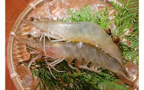 甲賀水晶えび&nbsp;200g&nbsp;×&nbsp;2パック