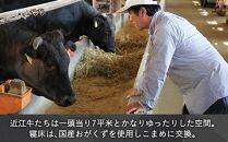 【千成亭】溢れる肉汁で大人気！近江牛と黒豚のハンバーグ 計1300g（150g×8個 ＋ ソース約100g）近江牛 千成亭 近江牛 和牛 ハンバーグ 黒毛和牛 千成亭 近江牛 ハンバーグ 近江牛 ハンバーグ 近江牛 和牛 ハンバーグ 和牛 近江牛 彦根 近江牛 ハンバーグ 近江牛 和牛 ハンバーグ 近江牛 千成亭 ハンバーグ 近江牛 ハンバーグ 近江牛 国産牛 近江牛 ハンバーグ 黒毛和牛 牛 千成亭 ハンバーグ 近江牛 牛肉 和牛 送料無料