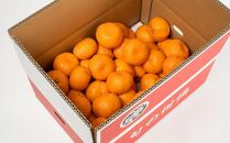 ［ご家庭用訳あり］紀州有田産濃厚完熟温州みかん&nbsp;約2kg［2026年11月下旬以降発送］［先行予約］