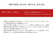 【ふるさと納税限定・蜷川実花展開催記念】京都市美術館蜷川実花展入場券＆聖護院八ツ橋限定パッケージ(24枚入り) ［ 京都 美術館 蜷川実花 関西過去最大規模 個展 限定 聖護院八ツ橋 八ツ橋 和菓子 京セラ美術館 ステッカー ふるさと納税 ］