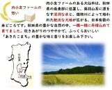 令和6年産 秋田県産あきたこまち 一等米 農家直送 玄米30kg