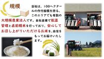 令和6年産 秋田県産あきたこまち 一等米 農家直送 無洗米10kg