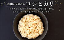 【令和7年産】みどりふぁーむのコシヒカリ&nbsp;玄米&nbsp;20kg&nbsp;|&nbsp;米&nbsp;玄米&nbsp;こしひかり&nbsp;もちもち&nbsp;お米&nbsp;こめ&nbsp;食品&nbsp;南砺市&nbsp;みどりふぁーむ&nbsp;ふるさと納税&nbsp;田舎暮らし&nbsp;地産地消&nbsp;国産&nbsp;新米&nbsp;食卓&nbsp;健康志向&nbsp;炊きたて&nbsp;ご飯好き&nbsp;家庭用&nbsp;食材&nbsp;栄養価が高い&nbsp;産地直送&nbsp;食育&nbsp;毎日の主食&nbsp;食生活&nbsp;人気&nbsp;おすすめ&nbsp;送料無料